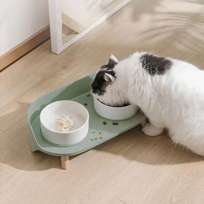 2 in1 Pet Ceramic Bowl with Holder